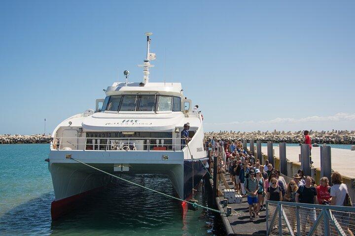Visite privée d'une journée de Robben Island, des pingouins et du cap de Bonne-Espérance