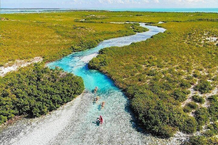 Visite de Mangrove Cay