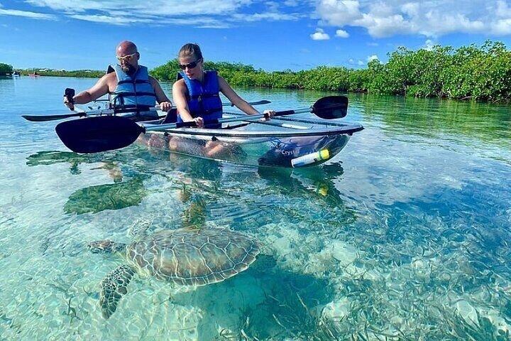 Visite de Mangrove Cay