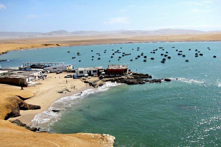 ピスコクルーズ発：バジェスタス諸島ツアーとパラカス保護区