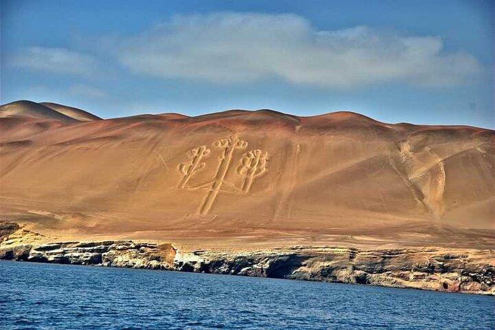 ピスコクルーズ発：バジェスタス諸島ツアーとパラカス保護区