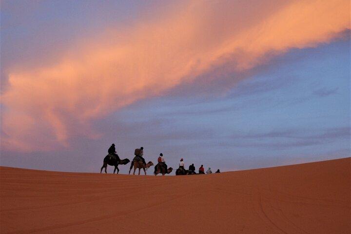 2 days Sahara trip /lux tent