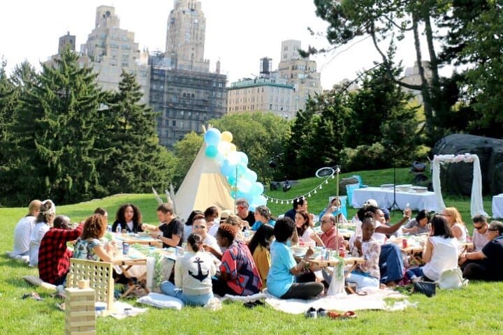Central Park Luxury Picnic