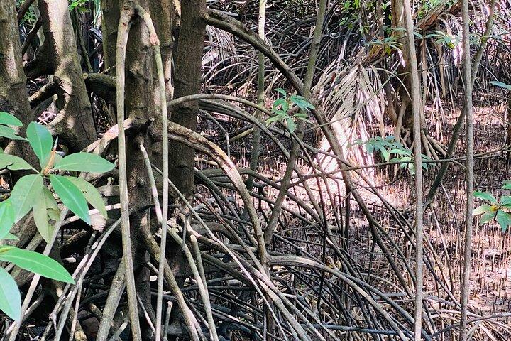 Utforska Singapores Forgotten Hills