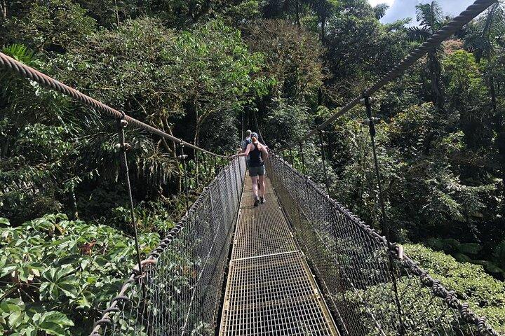 2-timers privat Místico Hanging Bridges Naturalist Walk