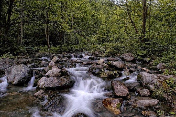 Full Day Sapanca and Masukiye Tour with lunch