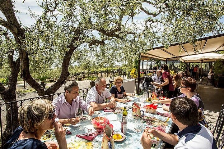 Pompeii: Wine Tasting Experience, Vineyards Tour and Full Lunch