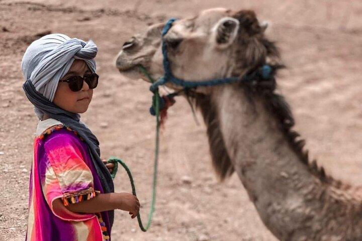 Camel Safari and Dinner Show in the Agafay Desert