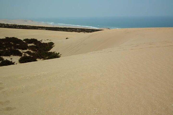 Excursion privée d'une journée à Massa Maroc avec déjeuner