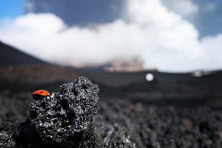 Etna excursion 3000 meters with 4x4 cable car and Trekking