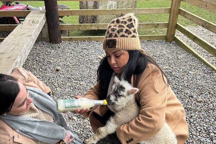 ダブリン:ウィックロー、シープドッグス、グレンダローwトップランクガイドÉamomon