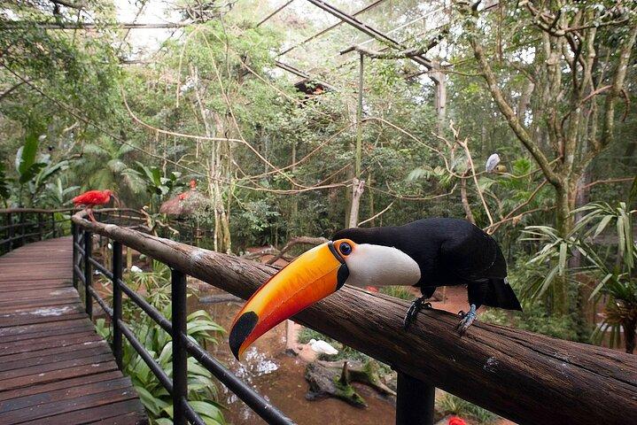 Brasilien-Abenteuertour – Schließe die brasilianischen Wasserfälle ab