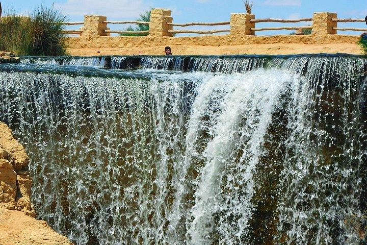ファユーム デイ ツアー - ワディ エル ラヤン、クジラの谷、マジック レイク