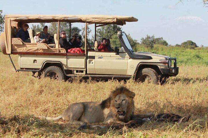 Vliegsafari vanaf Zanzibar