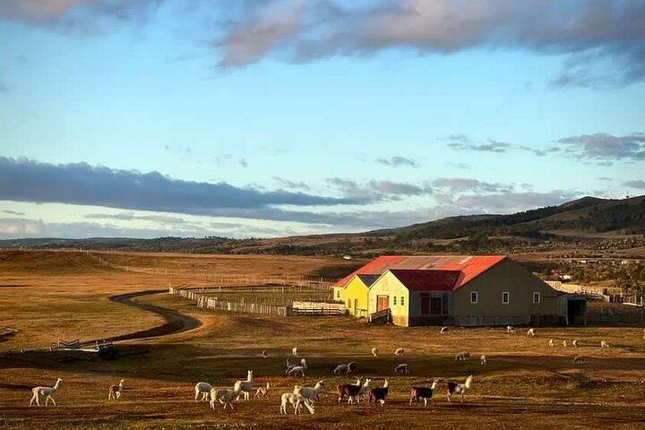 Estancia, della comune di Laguna Blanca