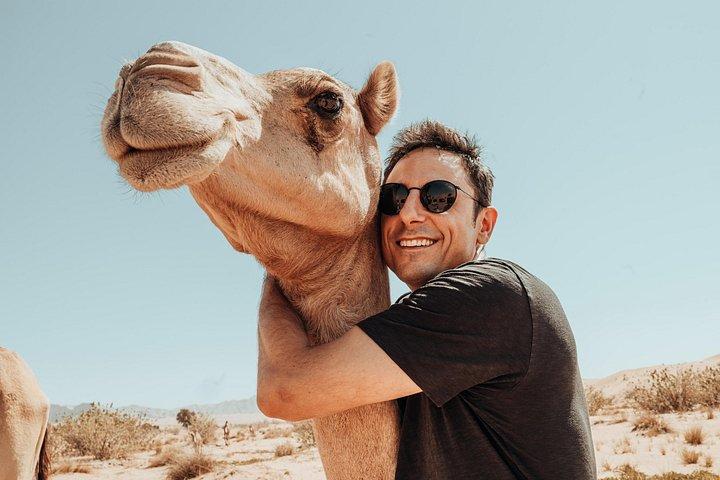 Reise ins Herz der Emirate
