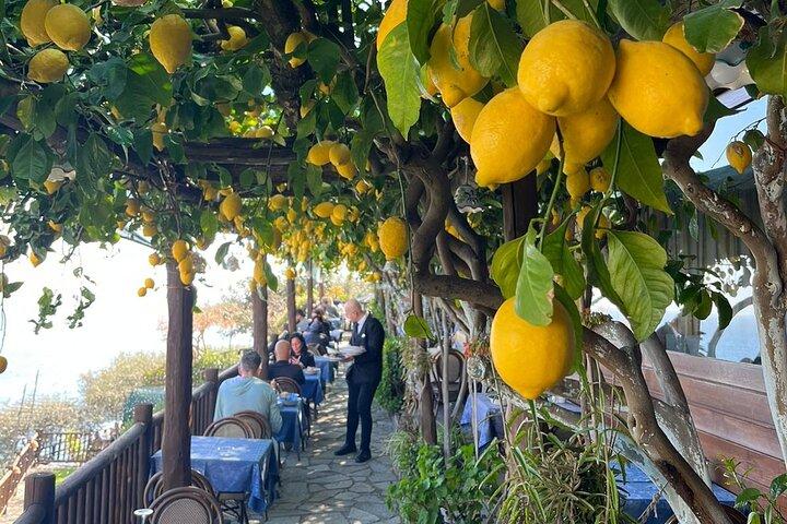 Transferência privada de Nápoles para Positano/Sorrento e vice-versa