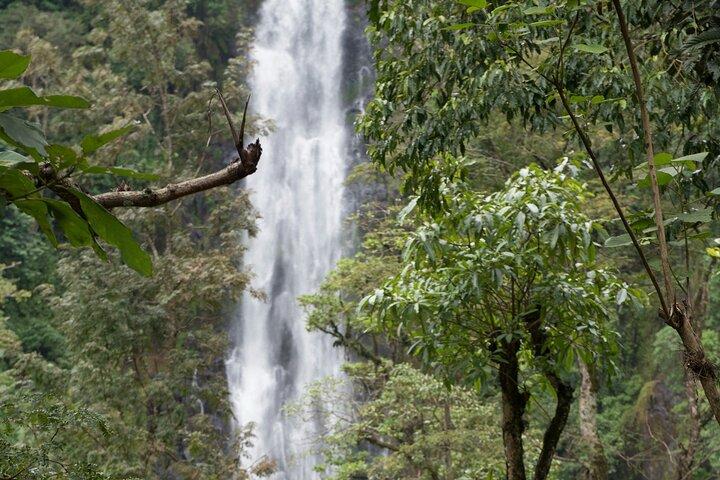 Materuni vattenfall och Kikuletwa Hot Spring Tour