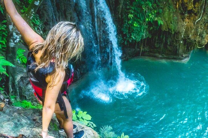 ジンベエザメ、キャニオニング、イワシの泳ぎ、トランスポでカメを見る