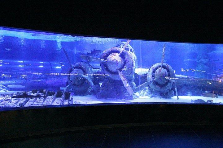 アンタルヤ水族館とゴールドセンターを一日かけて旧市街ツアーで訪問