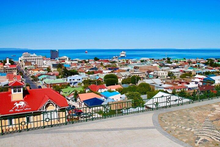 Excursión privada a la ciudad de Punta Arenas con recogida en puerto