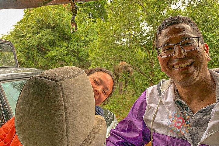 Van Ella - Dagexcursie naar Yala National Park