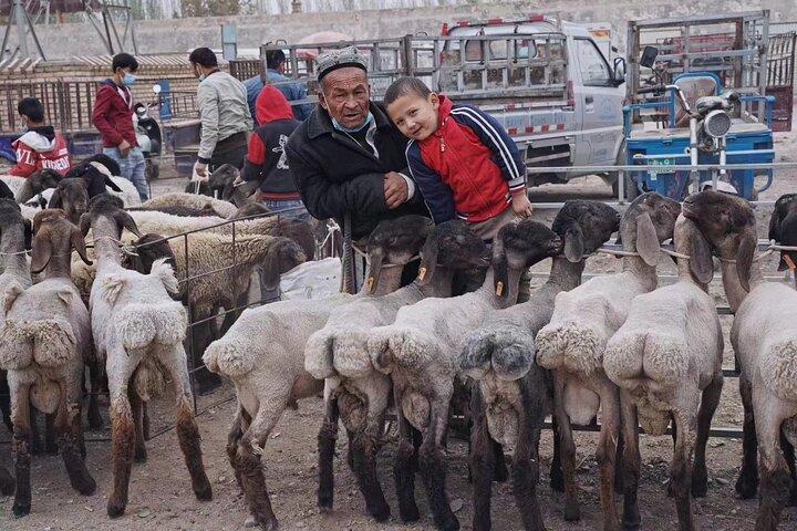 Excursão guiada de 17 dias na Rota da Seda China