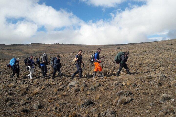 キリマンジャロ登山 - レモショ ルート 7 日間登山