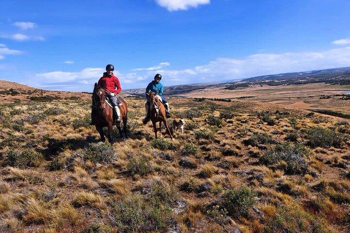 Estancia, de la comuna de Laguna Blanca