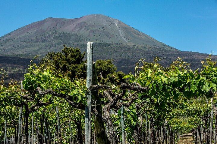 Pompéi avec dégustation de vin et déjeuner de Naples