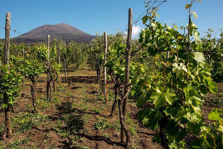 Pompéi avec dégustation de vin et déjeuner de Naples