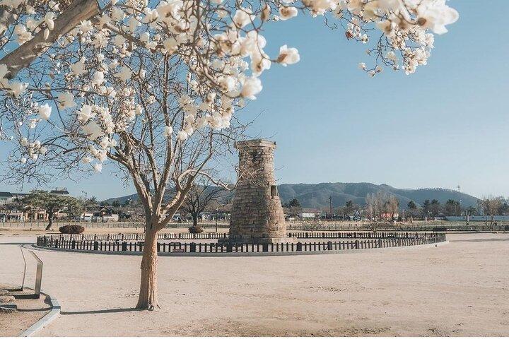 Visite privée de Gyeongju - Explorez Gyeongju Sites UNESCO