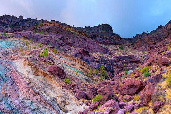 Excursion d'une journée : Gran Canaria en une journée