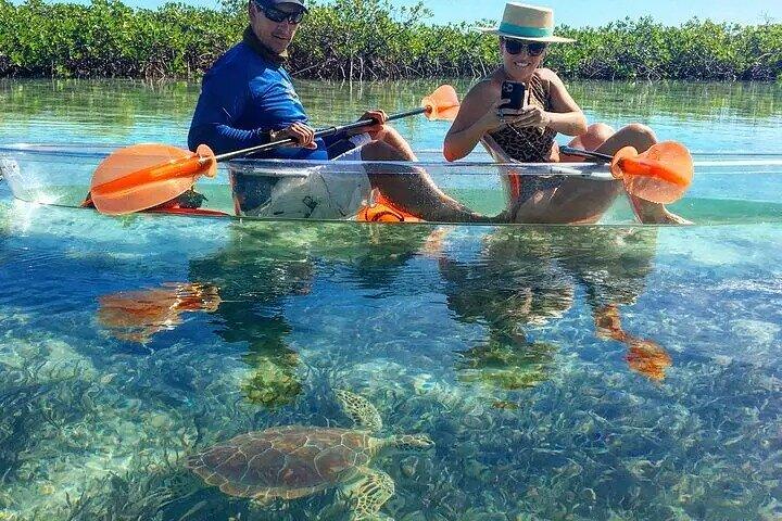 Visite de Mangrove Cay