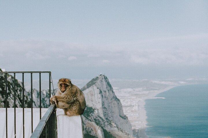 Privétour van een hele dag van Sevilla naar Gibraltar