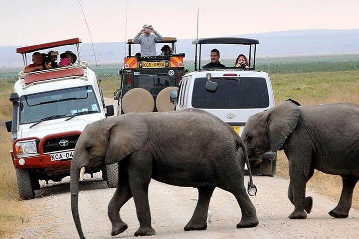 Private Amboseli Overnight Tour