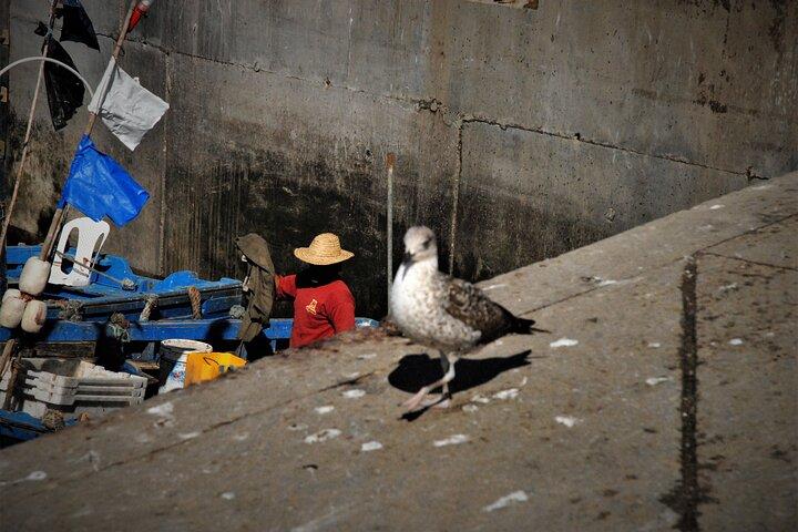 Essaouira 1 Day Tour From Marrakech