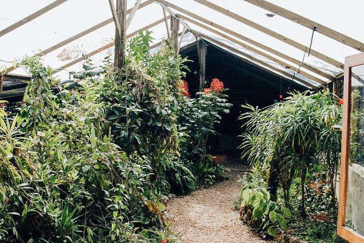 Private Barton Creek & Butterfly Ranch Tour