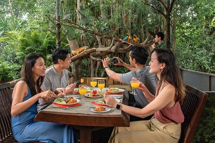 Mattina allo zoo (con opzione colazione)