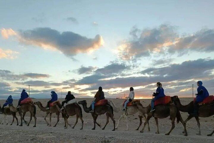 Half Day Camel Riding and Dinner Show Tour in Agafay Desert