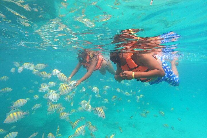 Catalina Island Day Trip from Punta Cana: Snorkeling included