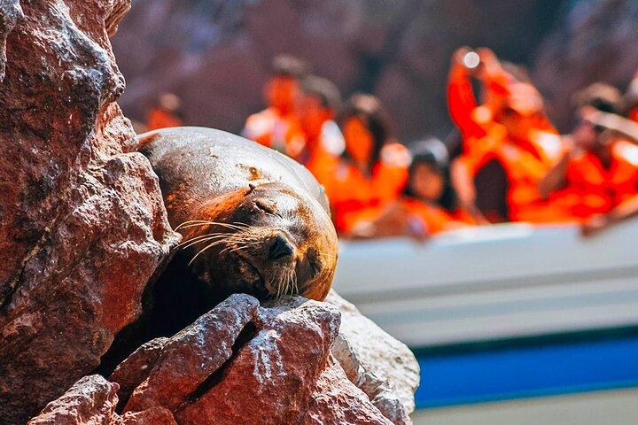 リマ発全日ツアー:パラカスとワカシナオアシス