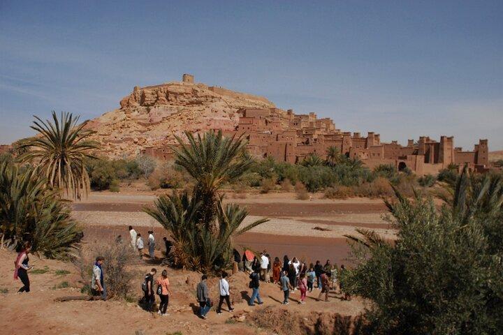 2 days Sahara trip /lux tent