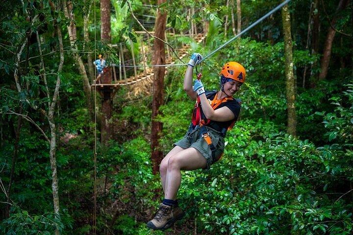 Tirolesa Cape Tribulation com Treetops Adventures