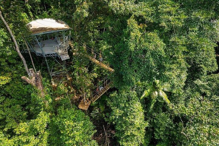 Tirolesa Cape Tribulation com Treetops Adventures