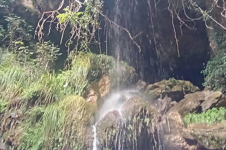 Da Valencia: escursione di un giorno alla fontana Algar e ad Altea
