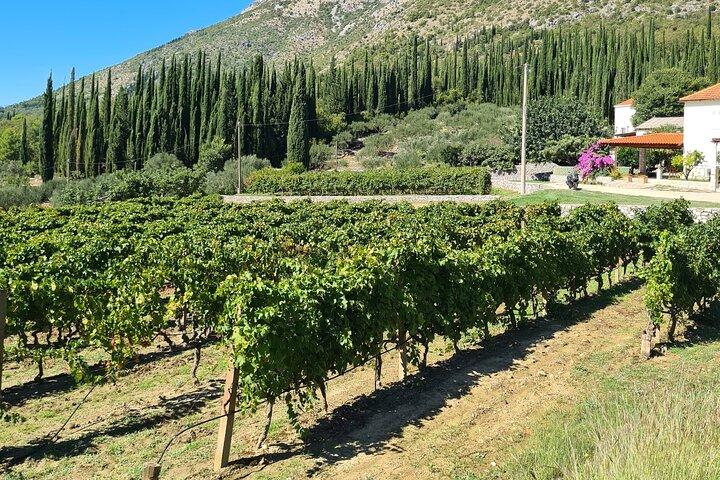 Konavle Gastro & Culture Tour (Visite privée)