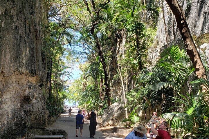 Visite d'une demi-journée en bus de Nassau : visite guidée avec échantillons gratuits