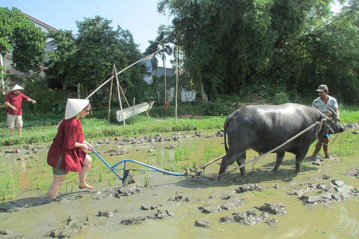 Hoi An Wet Rice Farming Tour Private Round Boat Fishing & Lunch