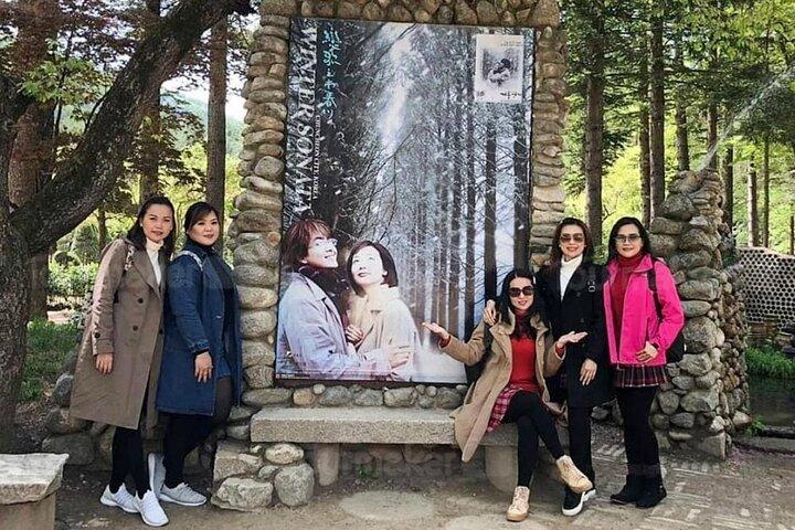 Nami Island og nærliggende attraktioner: Charter Van Tour med chauffør